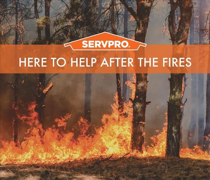 Trees on fire with flames. with SERVPRO logo. 