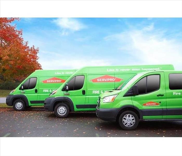 SERVPRO green truck outside with trees